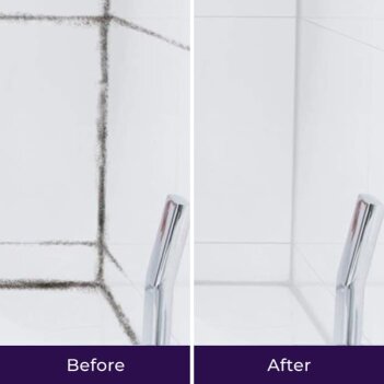 Make this the Last Time You Have to Clean that Mold