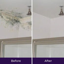 Make this the Last Time You Have to Clean that Mold